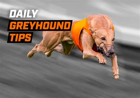 sporting life greyhound fast results|Greyhound Racing Results for 2021.